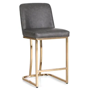 Alpha Camp Luxurious PU Leather Counter Height Bar Stool with Gloden Steel Frame