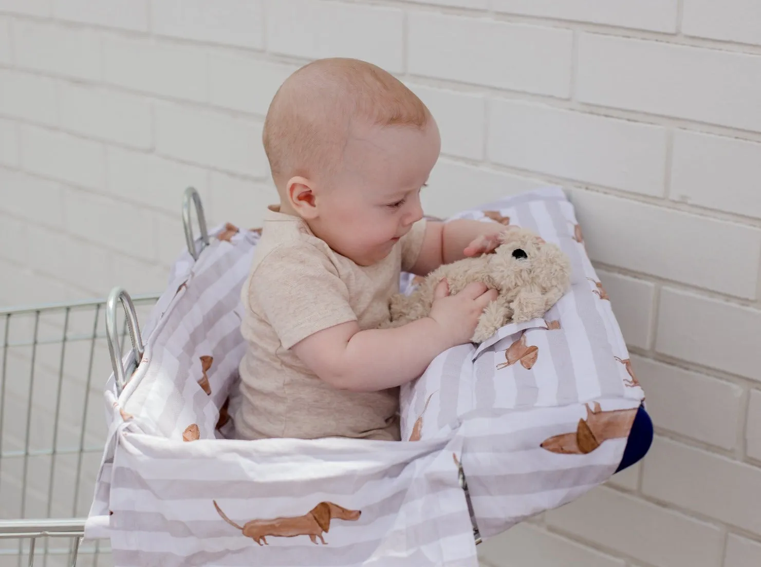 Bambella Designs Double Trolley Liner | Dachshund Days