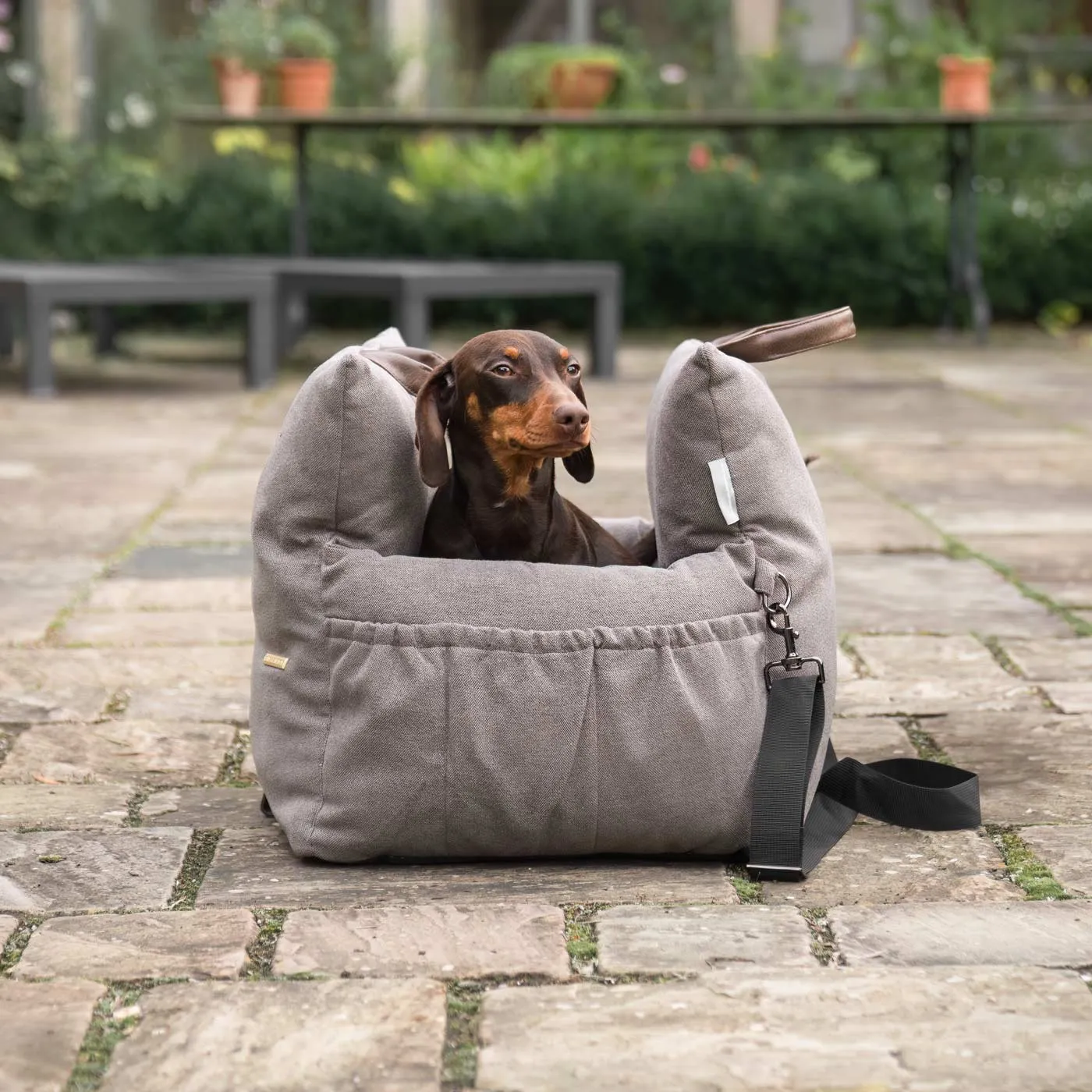 Easy Traveller in Truffle by Lords & Labradors