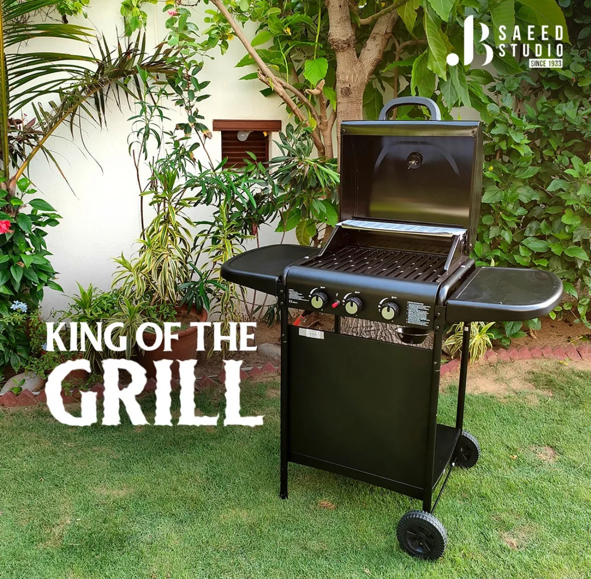 Gas Bbq Grill 3-Burner